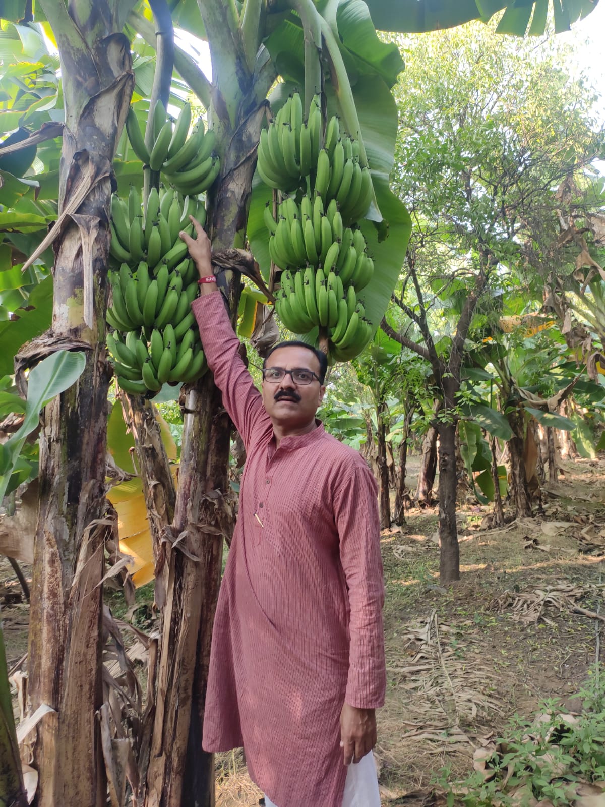 સાબરકાંઠામાં એક એન્જિનિયરે શિક્ષણ-ટેકનોલોજી અને ખેતીના સમન્વયથી કૃષિની નવી દિશા ચિંધી
