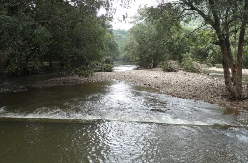 ઉત્તર ગુજરાતમાં કમોસમી વરસાદનો સપાટો, ખેડૂતની મહેનત પર પાણી ફરી વળ્યું
