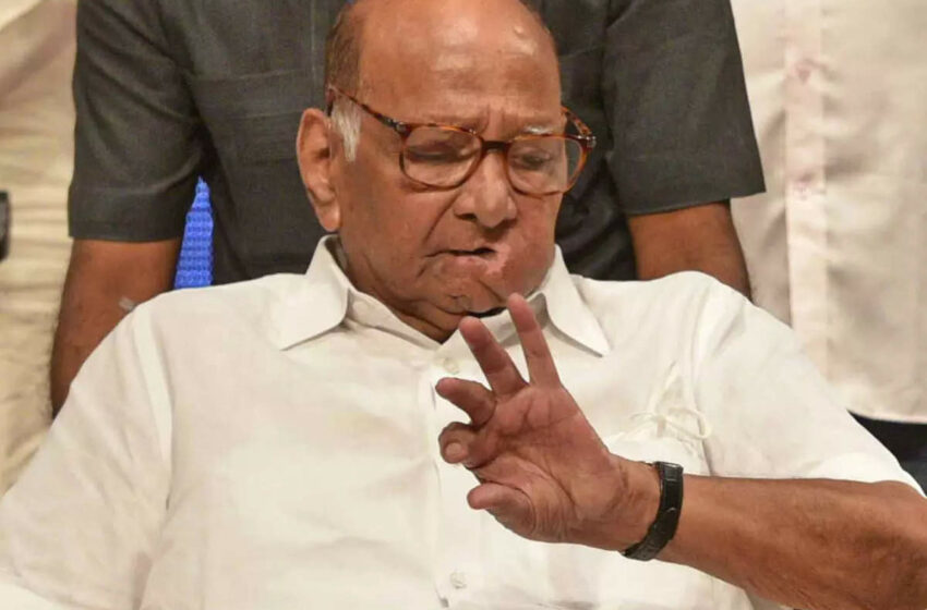 Gujarat Elections: राकांपा ने जारी 31 स्टार प्रचारकों कि लिस्ट, शरद पवार कर रहे हैं नेतृत्व