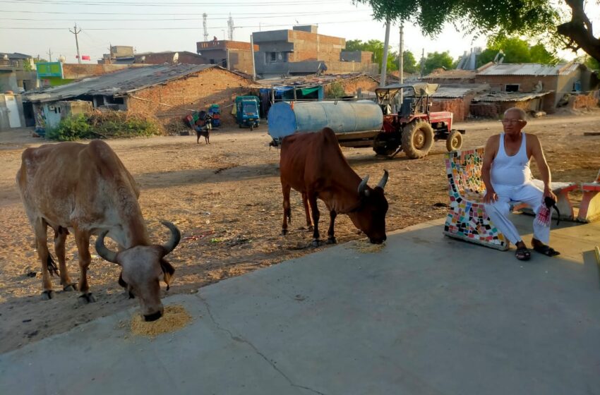 કાશીન્દ્રા ગામના અગાઉ સરપંચ અંબાલાલ રાઠોડએ ઉજવ્યો અનોખો જન્મદિવસ