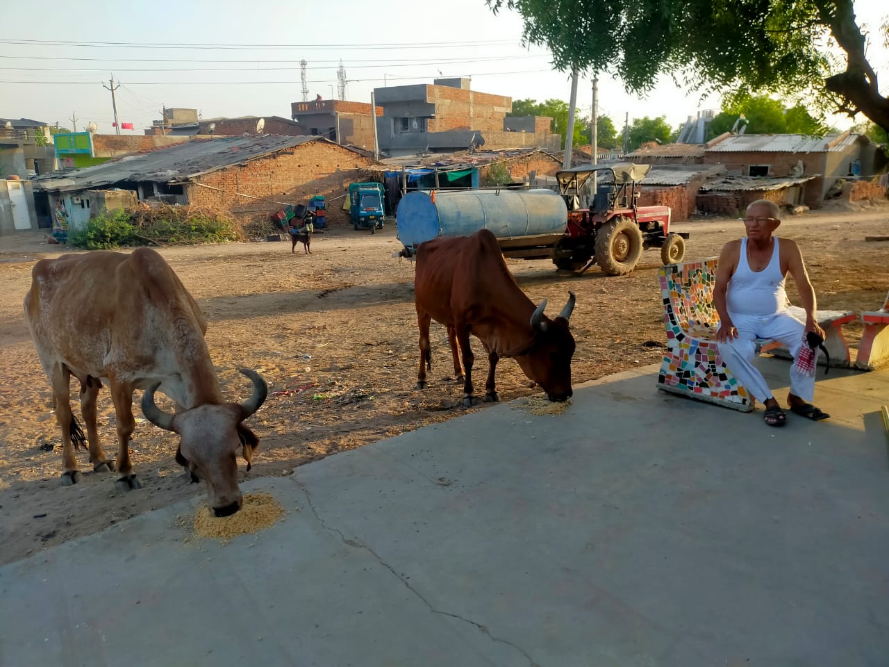 કાશીન્દ્રા ગામના અગાઉ સરપંચ અંબાલાલ રાઠોડએ ઉજવ્યો અનોખો&hellip;