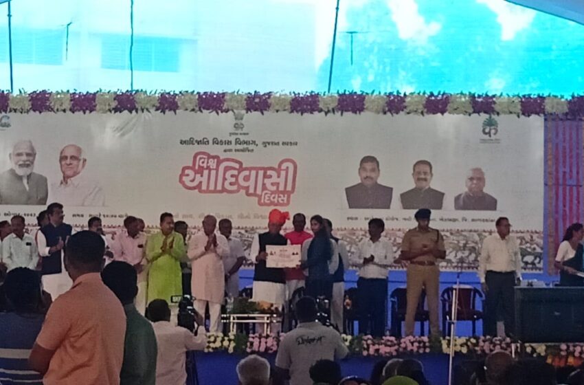 ખેડબ્રહ્માના નવી મેત્રાલ ખાતે વિશ્વ આદિવાસી  દિવસની ઉજવણી કરવામાં આવી