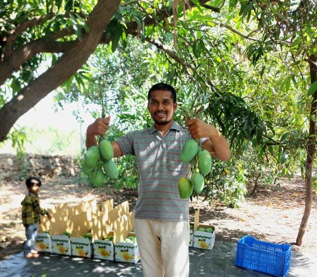 ગીર સોમનાથના ખેડૂતો હિંમતનગર કેસર કેરી વેચવા આવશે