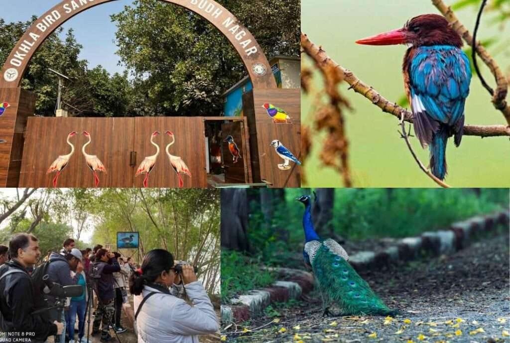 Tourist Place In Noida