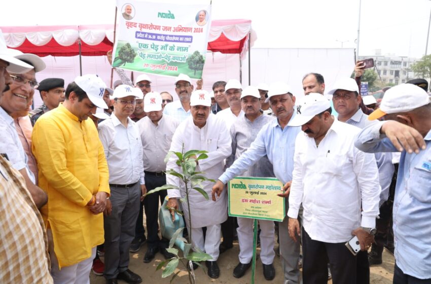 Noida Authority ने “बृहद वृक्षारोपण अभियान 2024” के तहत 2.25 लाख पौधे लगाए, नोएडा को हरा-भरा बनाने का संकल्प!