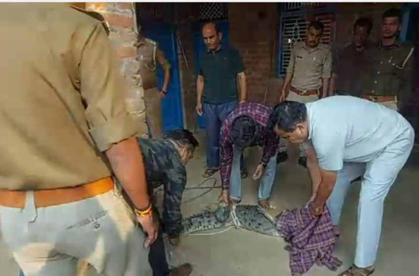 Uttar Pradesh (UP मे रात के सन्नाटे में चारपाई हिलने से जागी महिला: जाने क्या था मामला?)