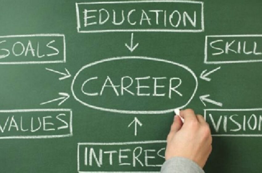 Career and education