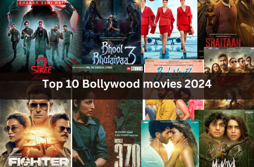 Top 10 Bollywood Movies of 2024 : Masterpiece Collection