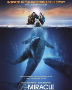 True Story : Big Miracle