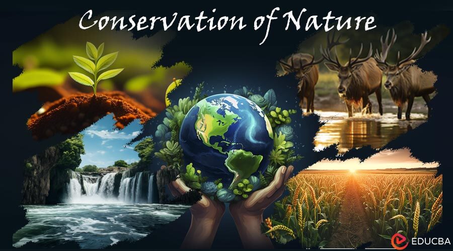 Environment