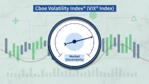 CBOE Volatility Index (VIX)