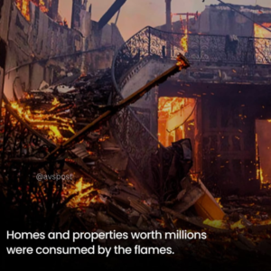 Los Angeles Wildfire