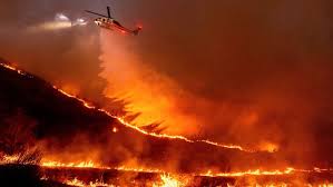 Los Angeles Wildfire