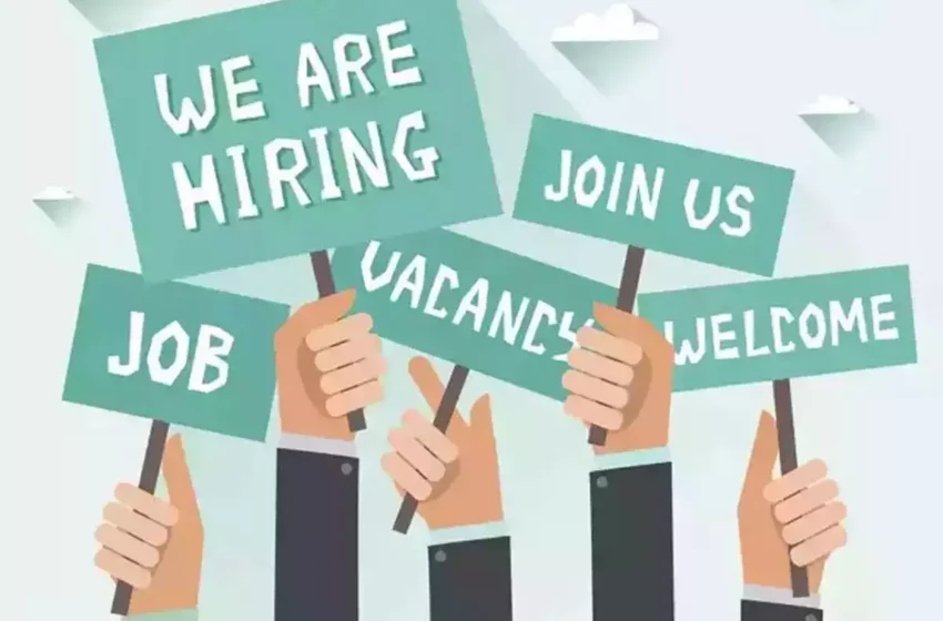 Job opportunities in 2025: Top profession for the future, new career emerging and work opportunities details. Details on the revolution of jobs and career opportunities.