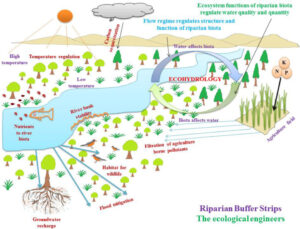 Ecology