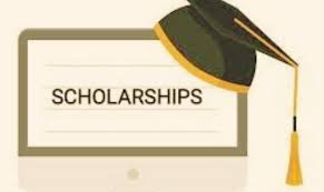 what is State scholarship?