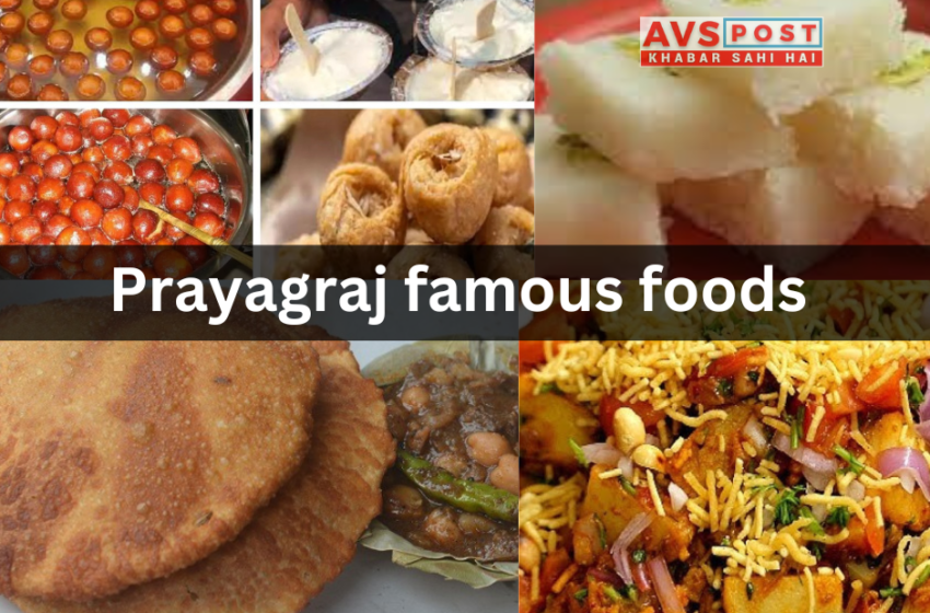 Prayagraj famous foods : ज़रूर आज़माएं ये स्वादिष्ट स्ट्रीट फूड 2025