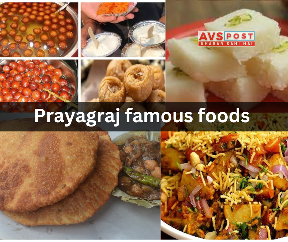 Prayagraj famous foods : ज़रूर आज़माएं ये स्वादिष्ट स्ट्रीट फूड 2025