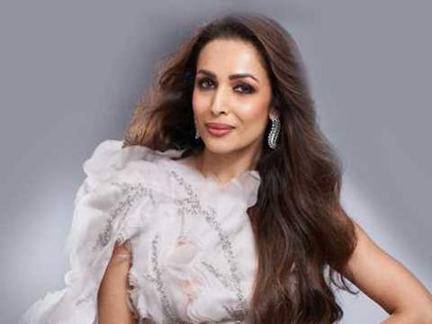 Malaika Arora: From modeling to acting to fitness icon, details on her full journey.