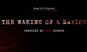 Details on The Waking of a Nation?