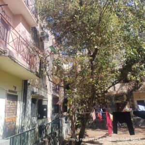 Raghavendra Dubey on this negligence by the Garden department.