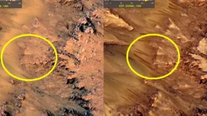 When and Where Was It Discovered?