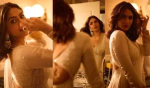Details on her journey from television to Bollywood to south indian Films.