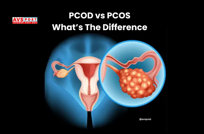“PCOS and PCOD : 14 Crucial Distinctions Every Woman Needs to Understand for Improved Health”