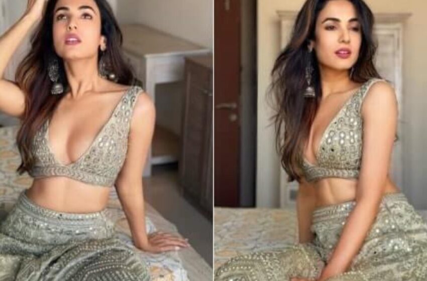 Sonal Chauhan: Details on her lifestyle, Education, family, Pageant, acting, top 10 movies and more.