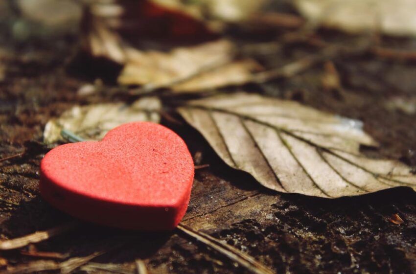 Evolution of Love : 4 Uplifting Ways Love transforms with Every Generation