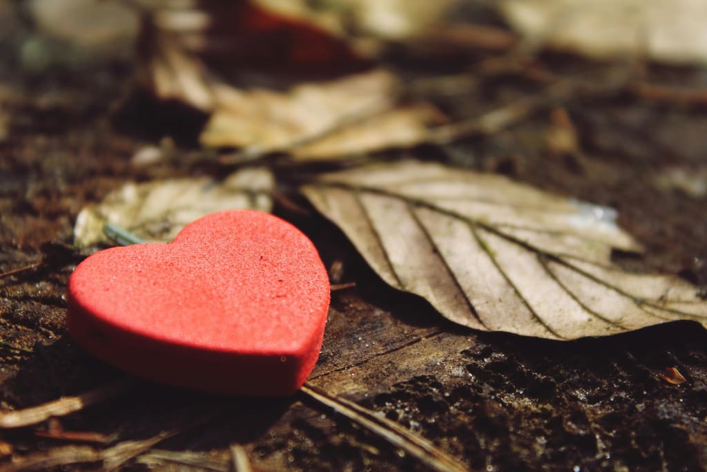 Evolution of Love : 4 Uplifting Ways Love&hellip;