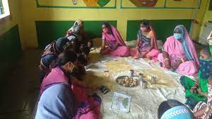 Details on the key activities during poshan pakhwada.