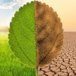 Climate Change