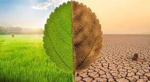 Climate Change Explained : Understanding the Science Behind the Crisis