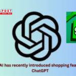 ChatGPT Shopping