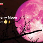 Strawberry Moon 2025