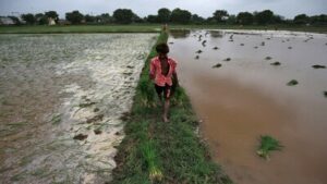 Monsoon status in UP, MP, and Rajasthan