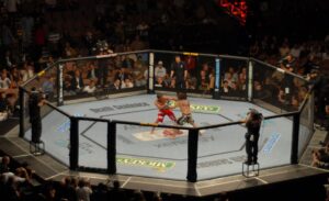 UFC 318
