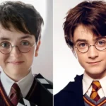 Harry Potter TV Series