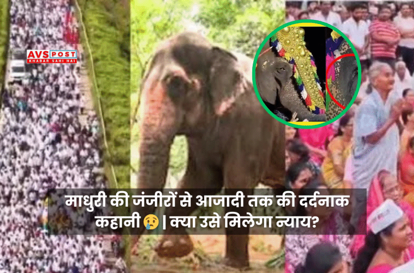 Madhuri Elephant Case : एक दर्दनाक कहानी, न्याय की लड़ाई और विवादों की सच्चाई