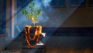 Tulsi Vivah 2025