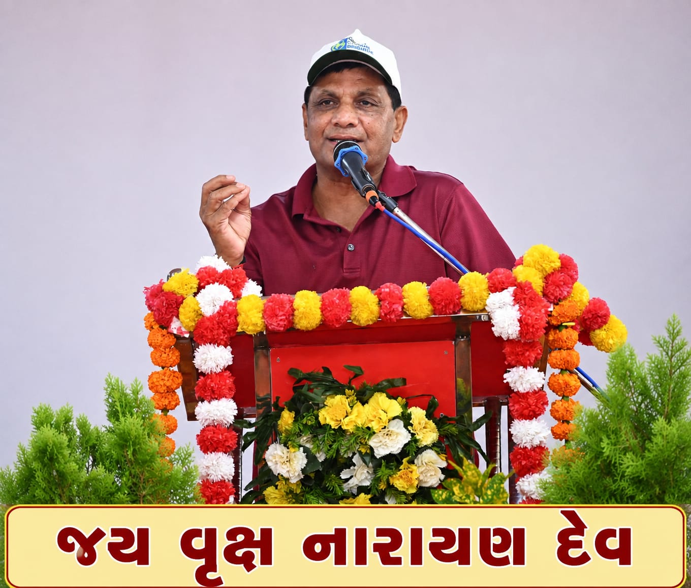 પર્યાવરણ પ્રેમી અને ગ્રીન એમ્બેસેડર જીતુભાઈ પટેલના જન્મદિવસની યાદગાર ઉજવણી