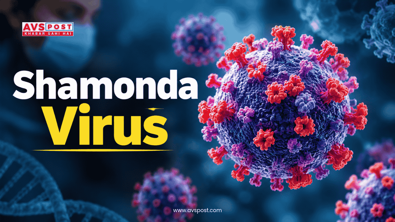 Shamonda virus reported in france as patient Dies Why is it deadly what are its symptoms treatment and prevention methods
